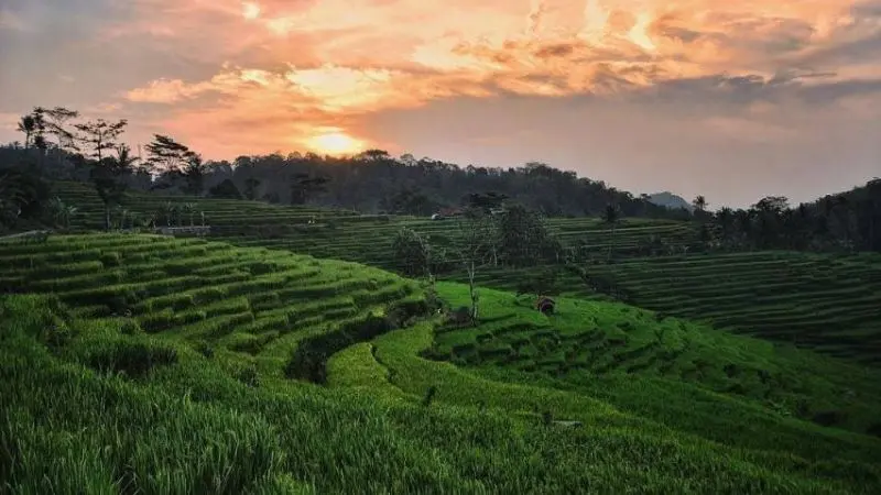 Tempat Wisata Hits di Majalengka yang Wajib Dikunjungi