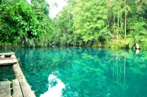 Tempat Wisata di Kalimantan Timur yang Wajib Dikunjungi untuk Liburan