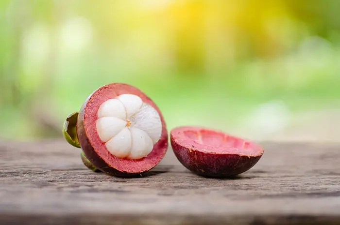 Manfaat Manggis untuk Ibu Hamil